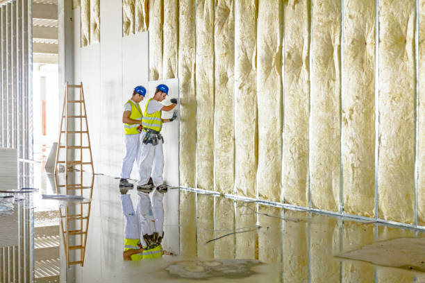 Best Insulation Materials and Products in Pine Prairie, LA